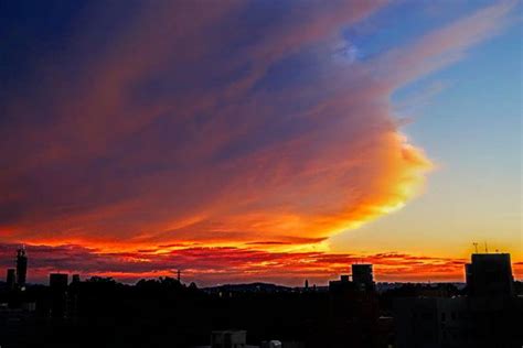 火燒雲預兆|台北天空驚現超美「火燒雲」！ 鄭明典解釋原因